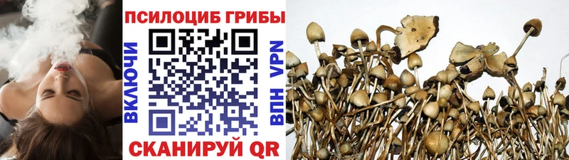 omg онион  Хвалынск  Псилоцибиновые грибы MAGIC MUSHROOMS 